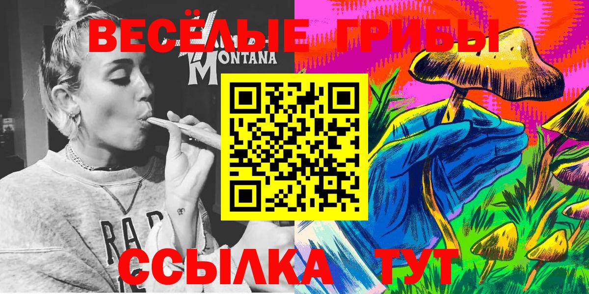 Галлюциногенные грибы Cubensis Егорьевск